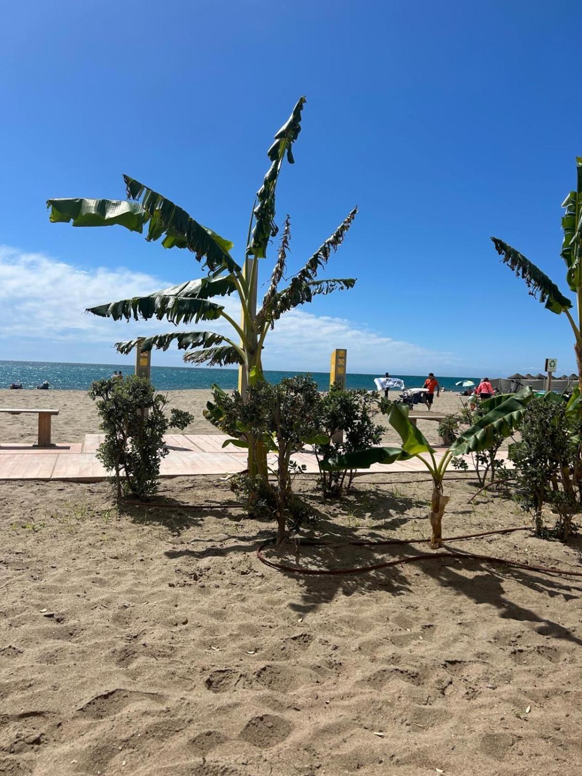 Estudio Riviera Del Sol Apartment Fuengirola
